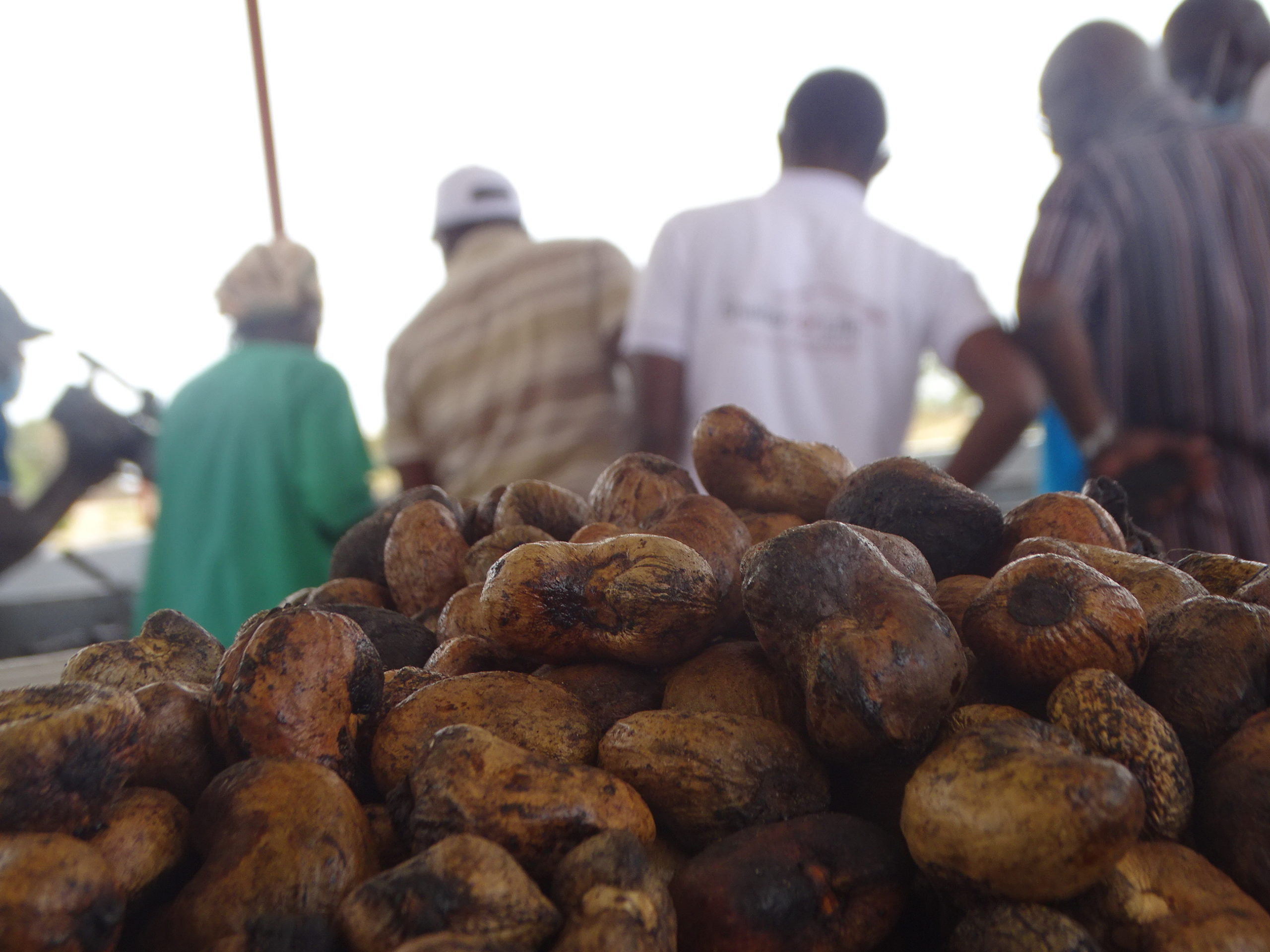 Noix de cajou projet lifft cashew