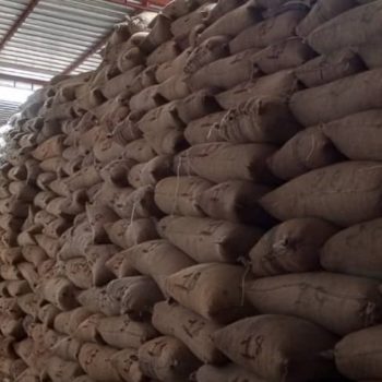 THE MARKETING OF CASHEW NUTS THE MARKETING OF CASHEW NUTS