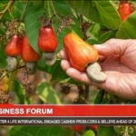 USDA LIFFT Cashew Project - Busines Forum in The GAMBIA
