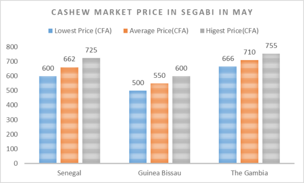 Cashew Market Information Lifft Cashew Project