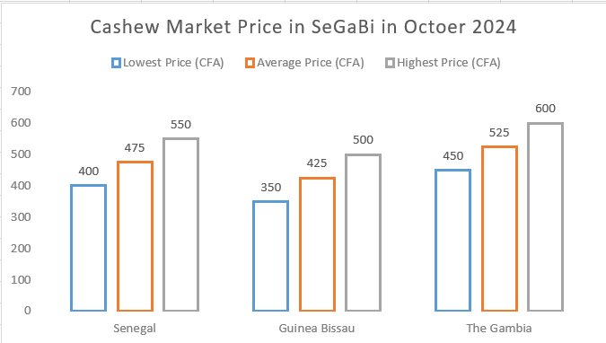 SeGaBi Cashew Price